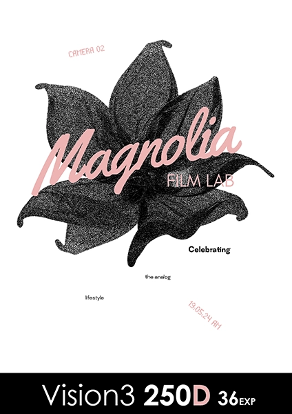 Kodak Vision 3 250D 36 exp