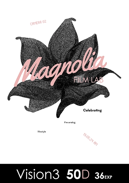 Kodak Vision 3 50D 36 exp