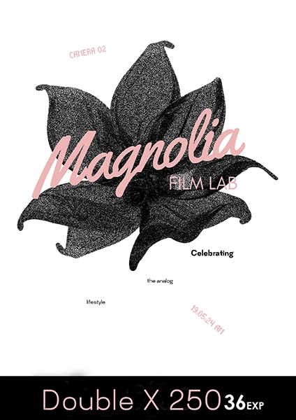 Kodak Double X 36 exp