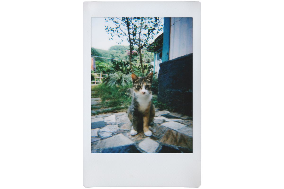 Lomo’Instant Camera & Lenses Boston Edition - Image 5