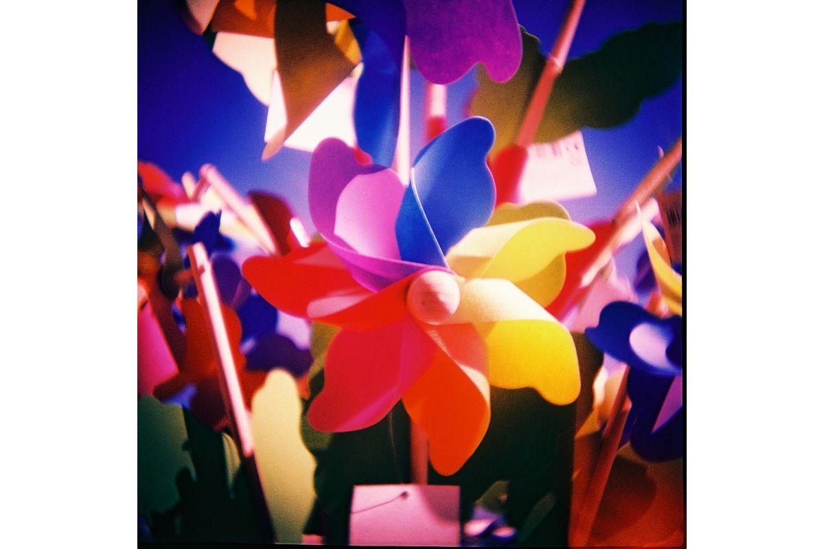 Diana F+ Camera & Flash 10 Years Anniversary - Image 4