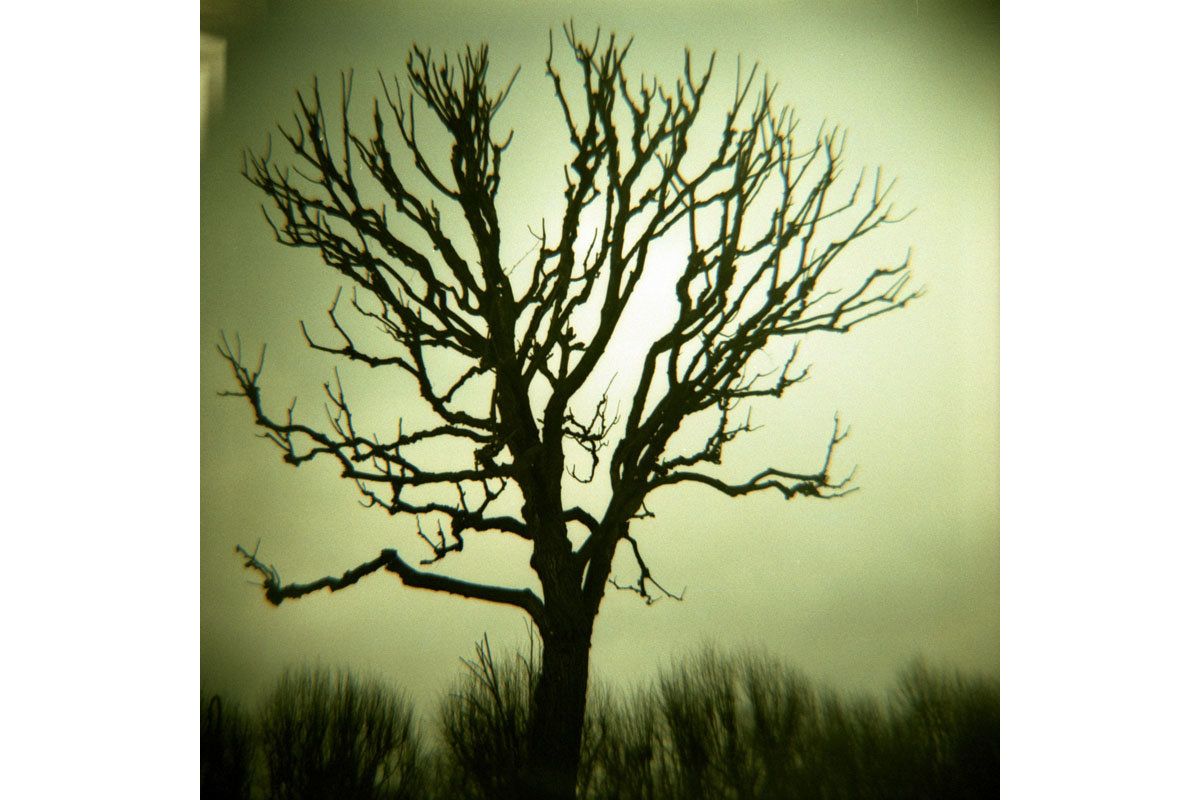 Diana F+ Camera & Flash - Image 2