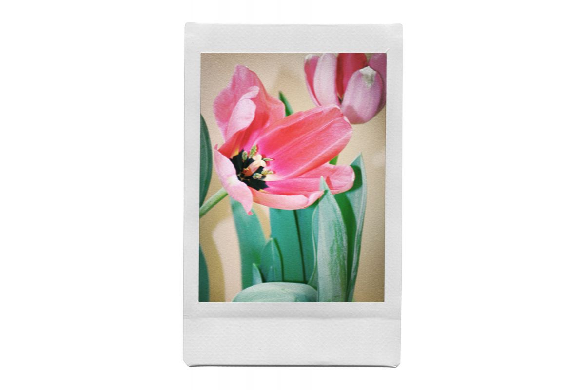 Lomo’Instant Camera & Lenses Song’s Palette Edition - Image 6